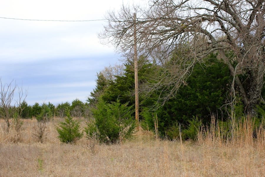 Montgomery Ranch Tract 19 photo 6