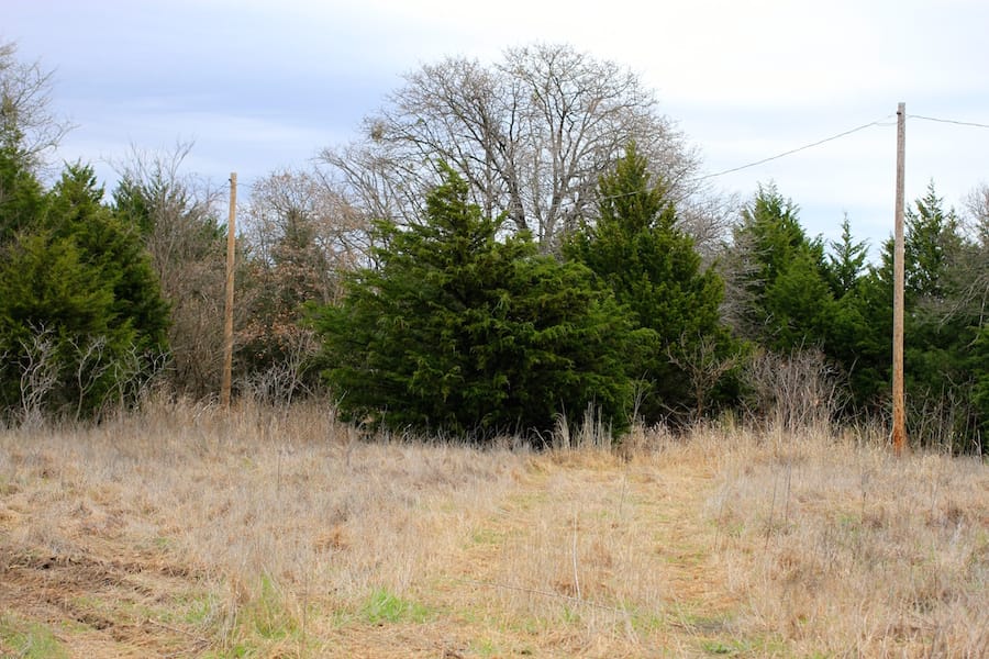 Montgomery Ranch Tract 19 photo 8