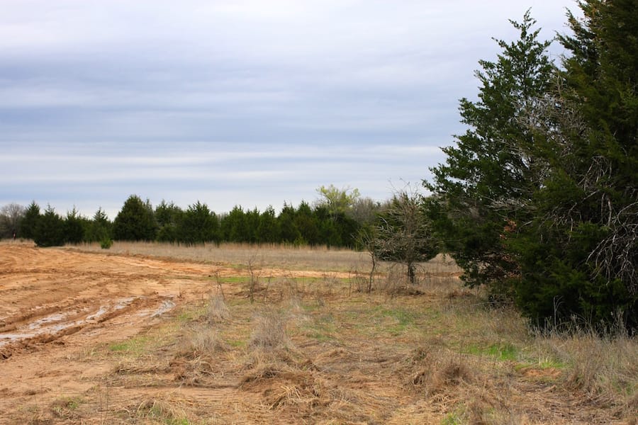 Montgomery Ranch Tract 19 photo 9