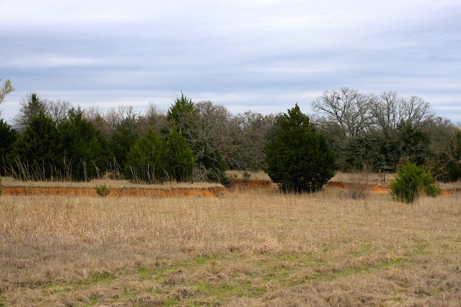 Montgomery Ranch Tract 19 photo 13