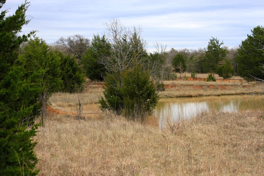 Montgomery Ranch Tract 19 photo 15
