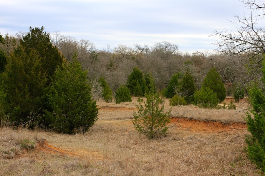 Montgomery Ranch Tract 19 photo 16