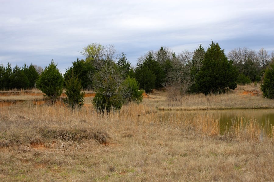 Montgomery Ranch Tract 19 photo 17