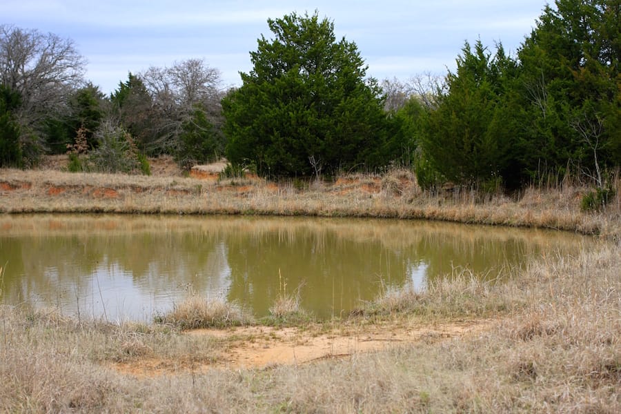 Montgomery Ranch Tract 19 photo 18
