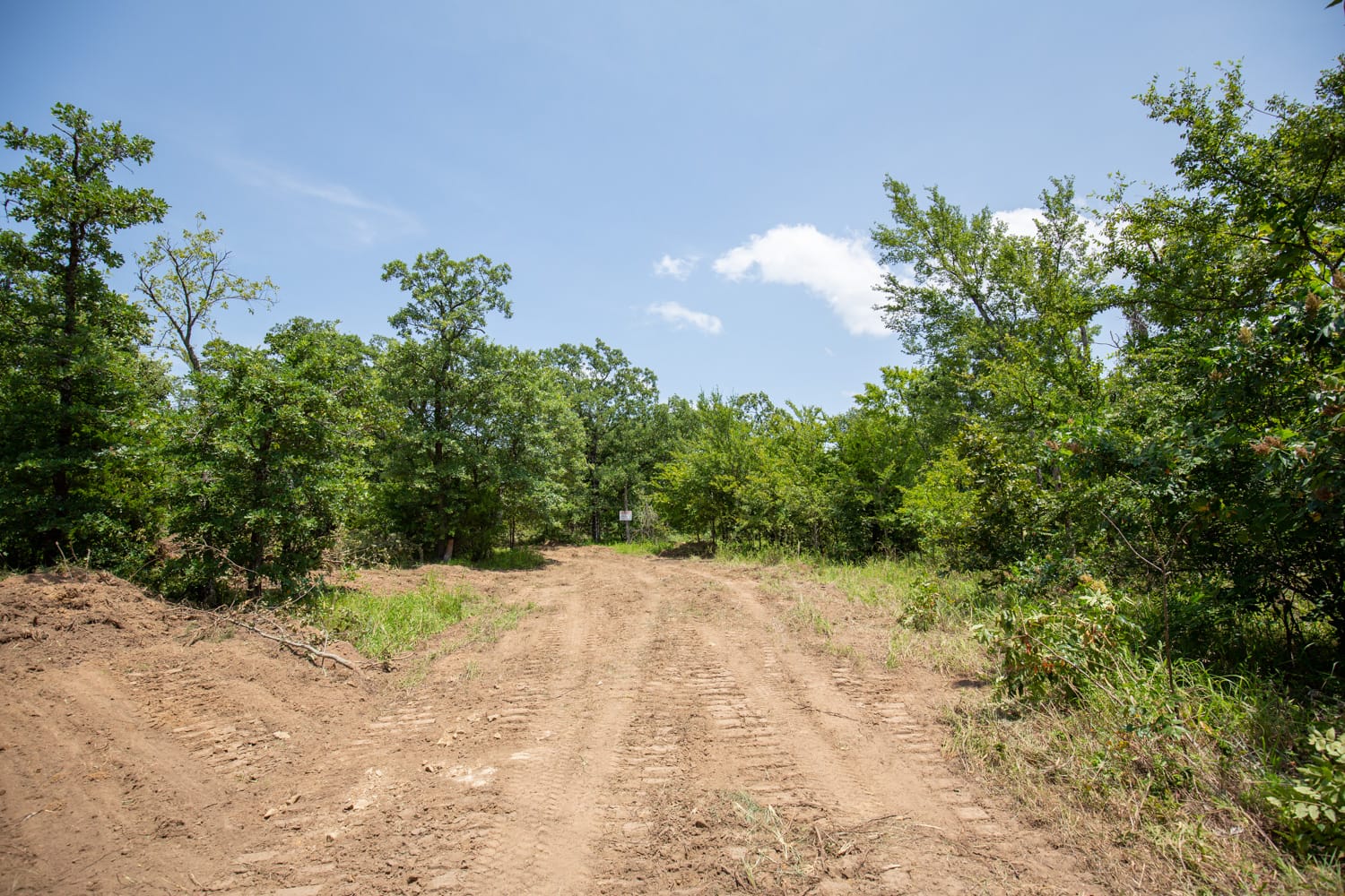 Timber Ridge Tract 46 photo 1