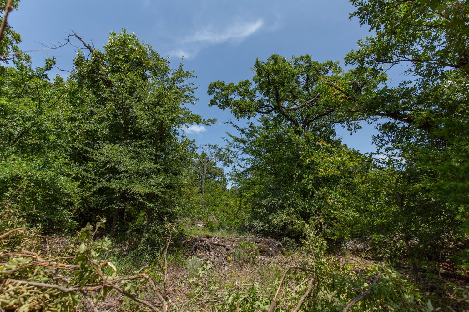Timber Ridge Tract 46 photo 6