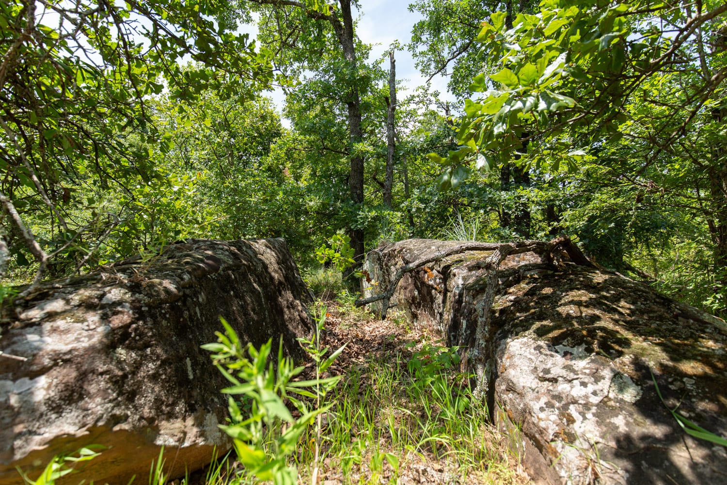 Timber Ridge Tract 46 photo 2