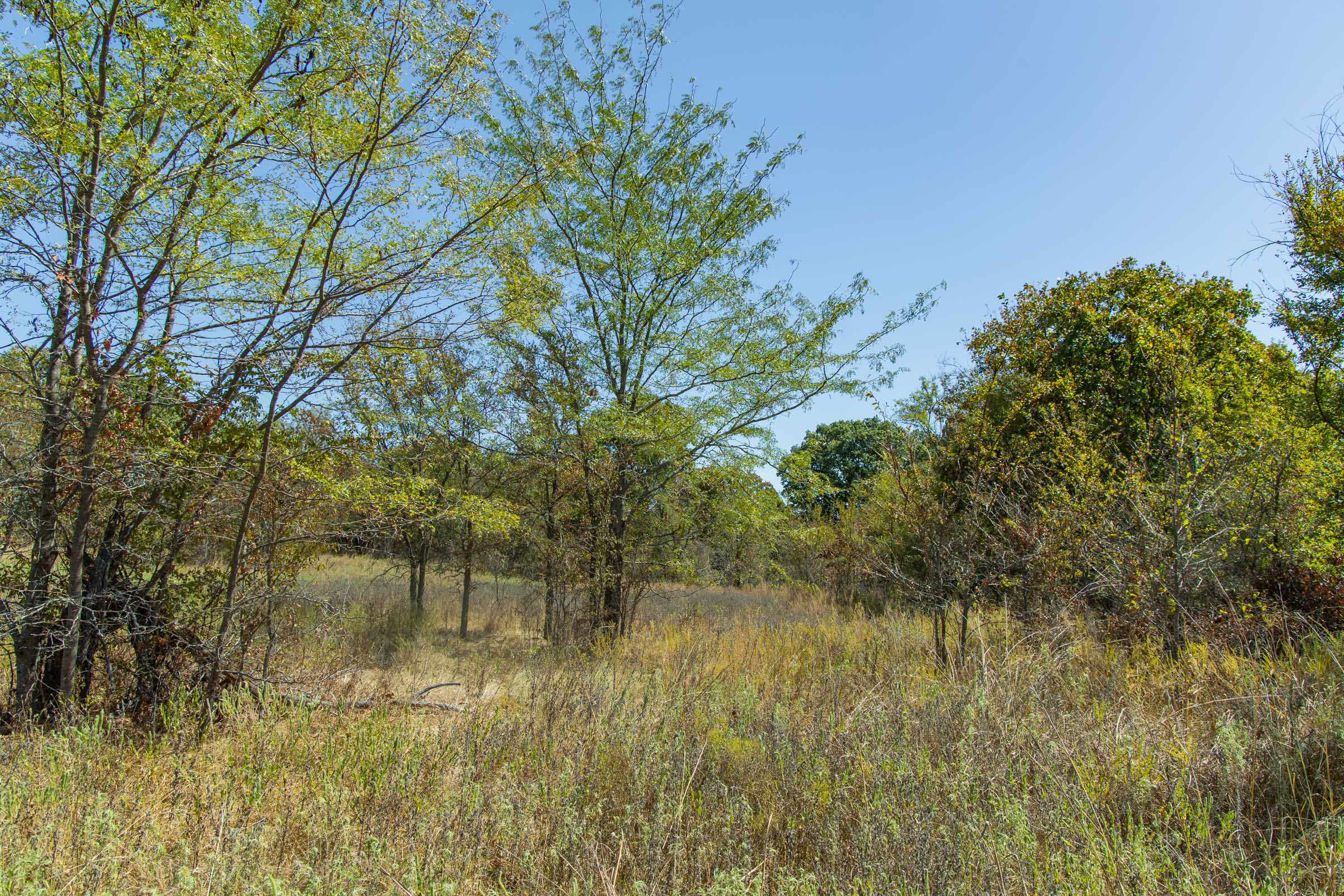 Gracyn Meadows Tract 1 photo 2