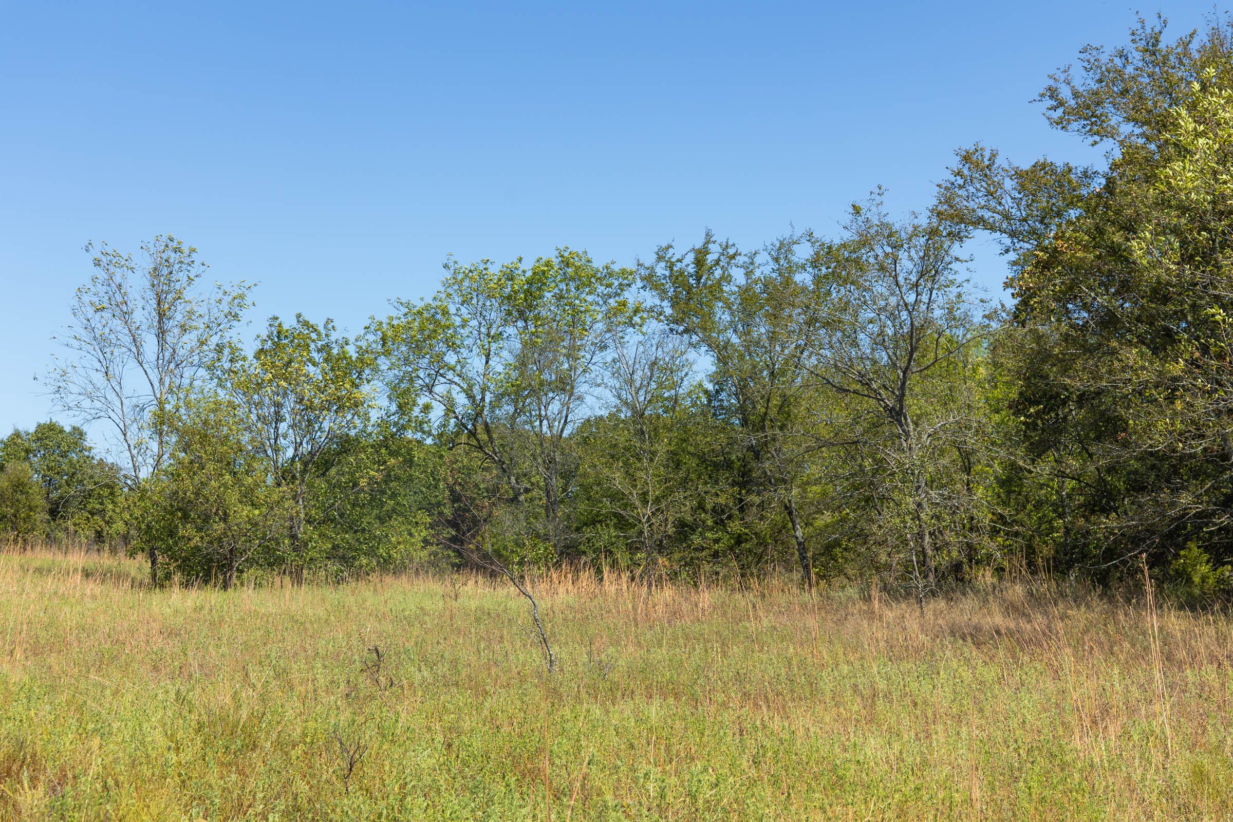 Gracyn Meadows Tract 1 photo 12