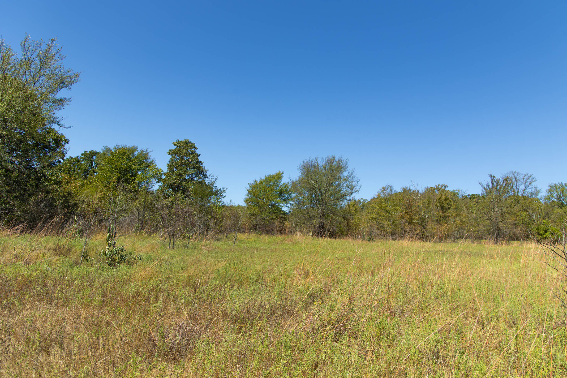 Gracyn Meadows Tract 1 photo 7