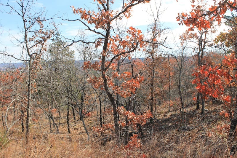 Indian Ridge – Phase I Tract 5 photo 2