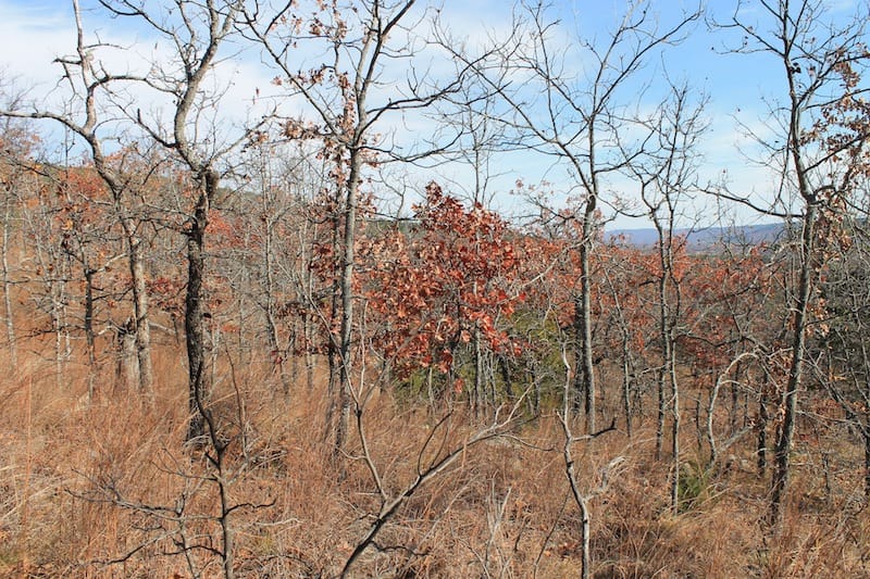Indian Ridge – Phase I Tract 5 photo 3