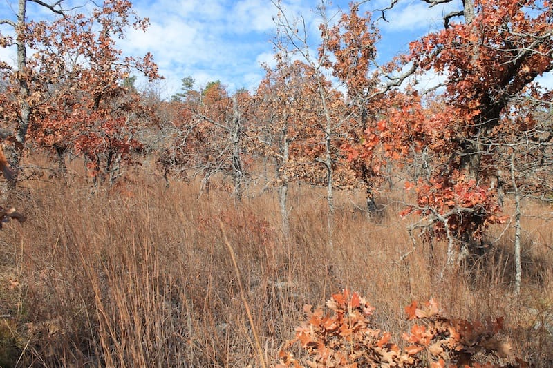 Indian Ridge – Phase I Tract 5 photo 4