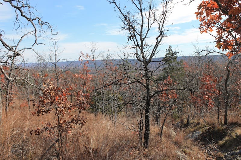 Indian Ridge – Phase I Tract 5 photo 5