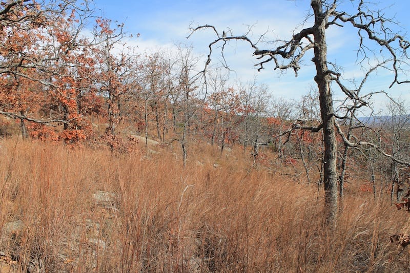 Indian Ridge – Phase I Tract 5 photo 6