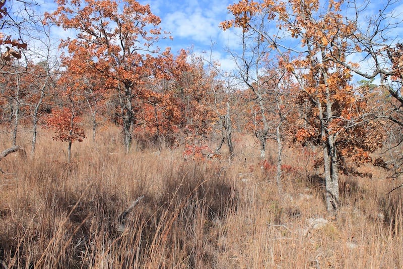 Indian Ridge – Phase I Tract 5 photo 7