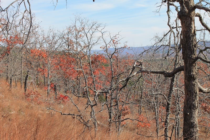 Indian Ridge – Phase I Tract 5 photo 8