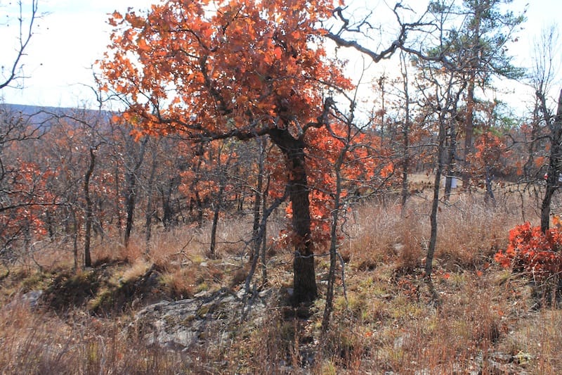 Indian Ridge – Phase I Tract 5 photo 9
