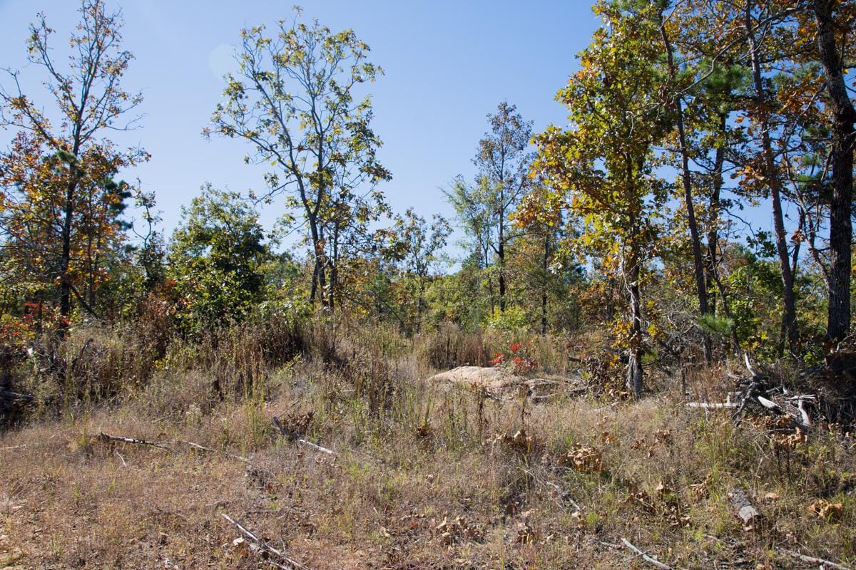 Stone Creek Phase I Tract 160 photo 4