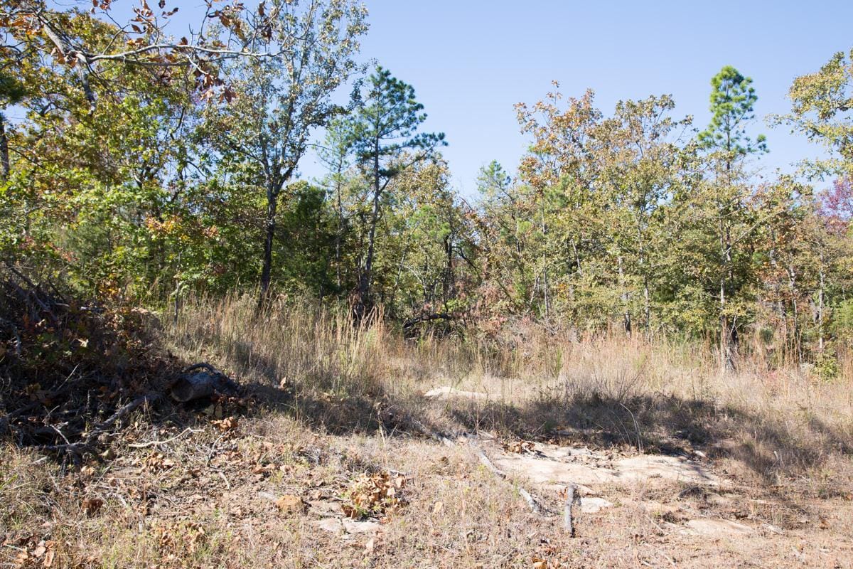 Stone Creek Phase I Tract 160 photo 5