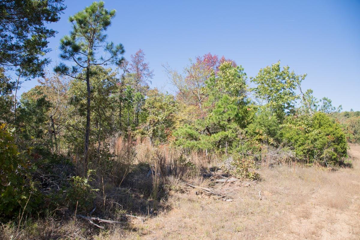 Stone Creek Phase I Tract 160 photo 8