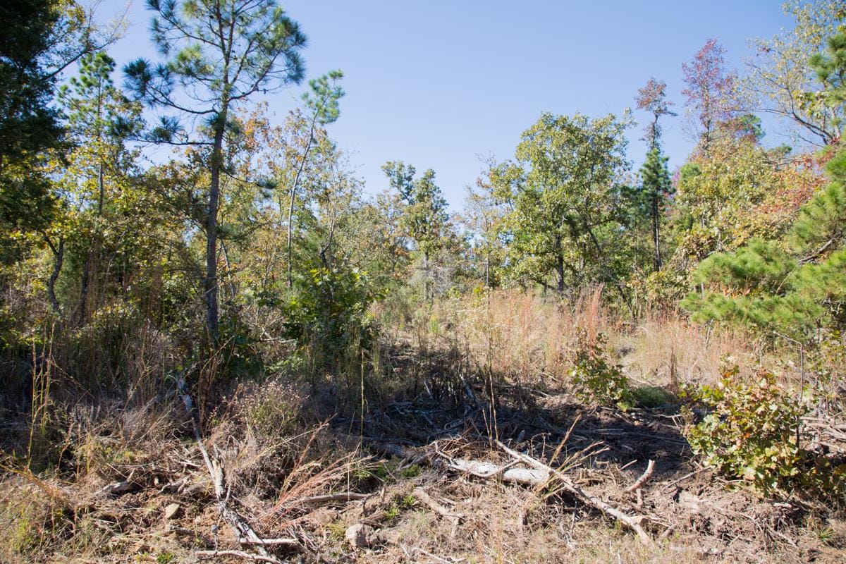 Stone Creek Phase I Tract 160 photo 9