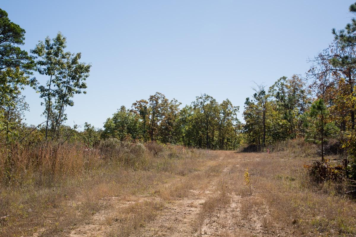 Stone Creek Phase I Tract 160 photo 2