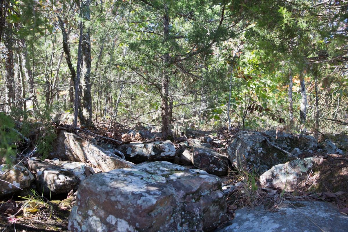 Stone Creek Phase I Tract 160 photo 12
