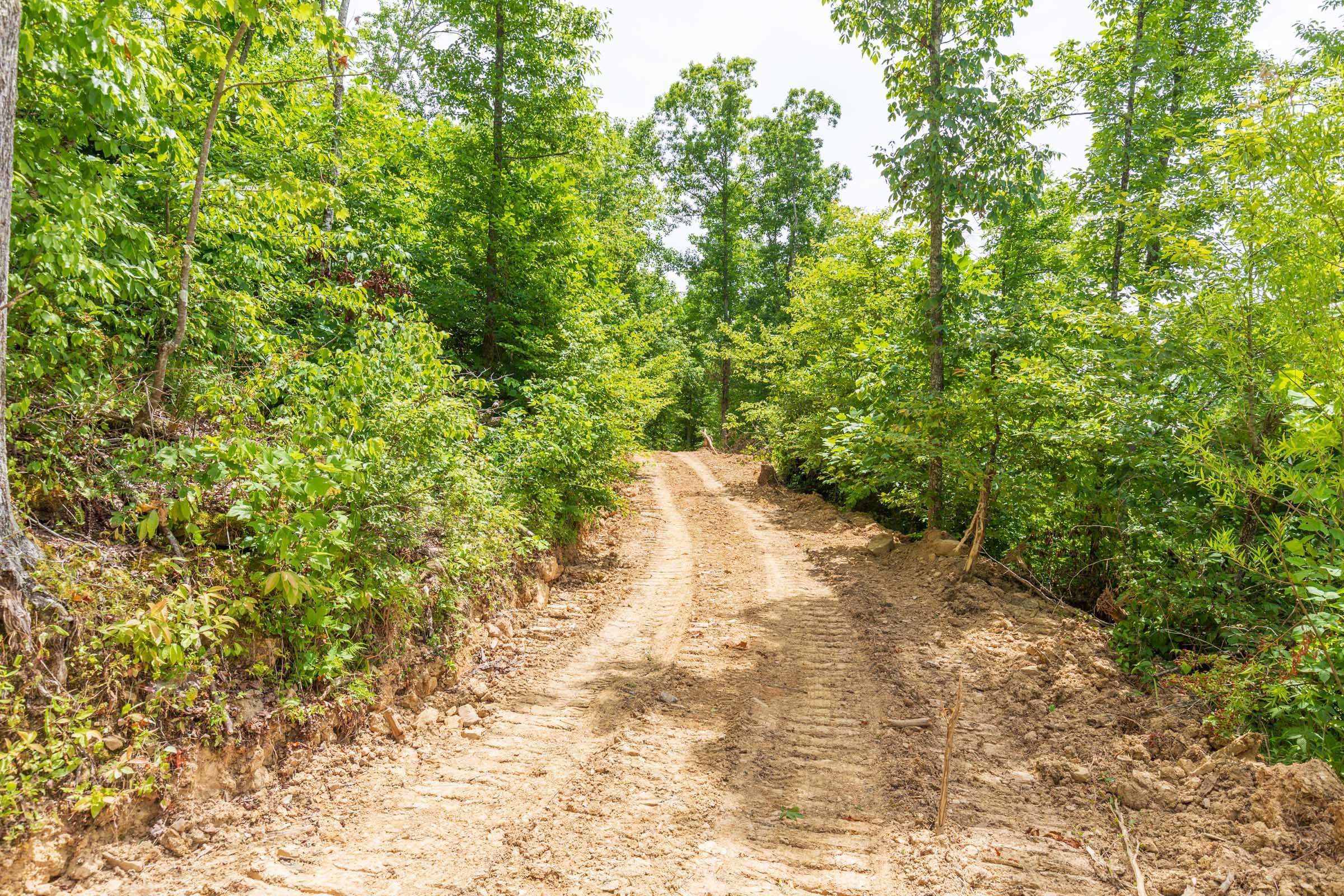 River’s Edge Tract 11 photo 1