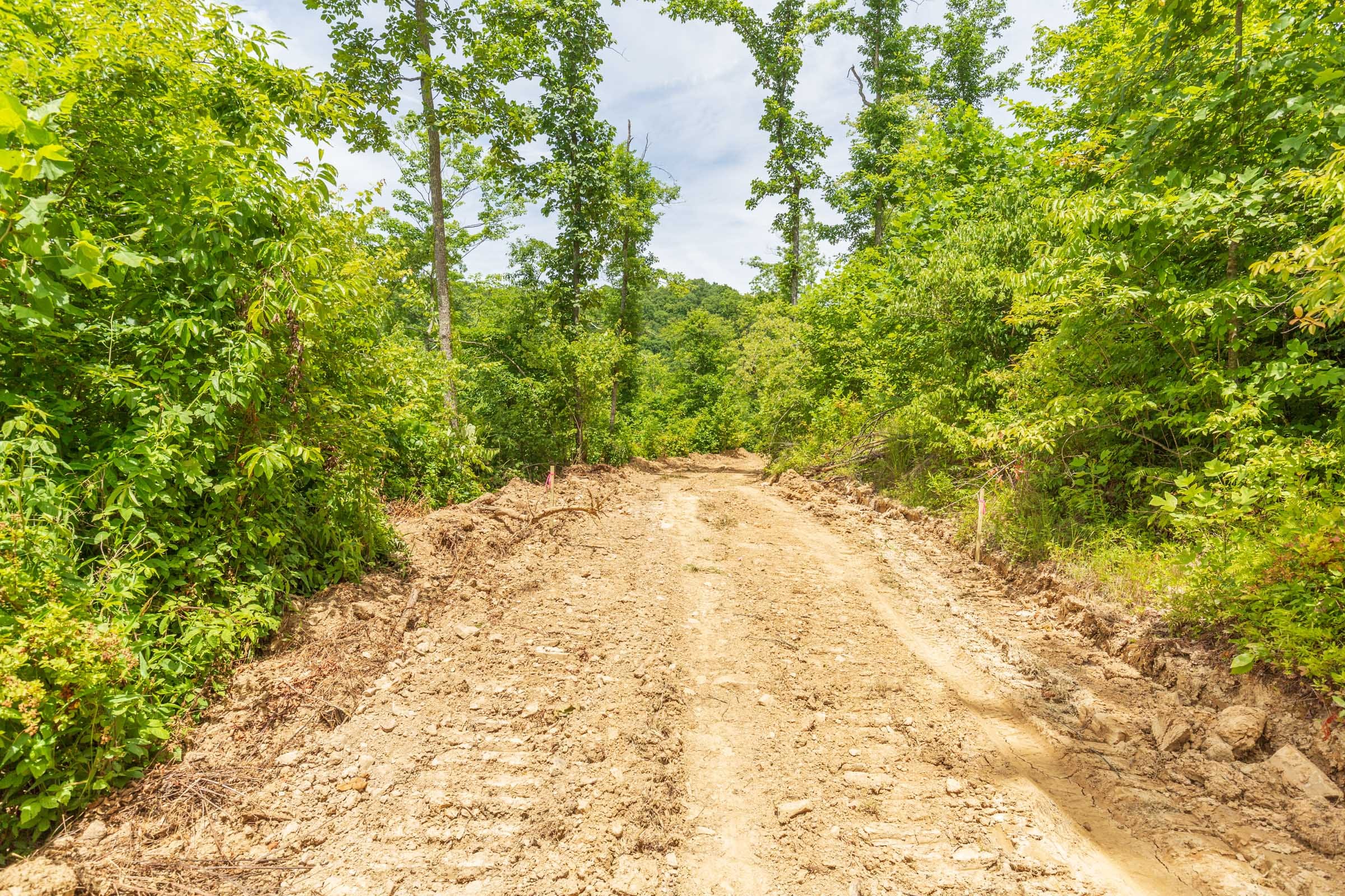 River’s Edge Tract 11 photo 11