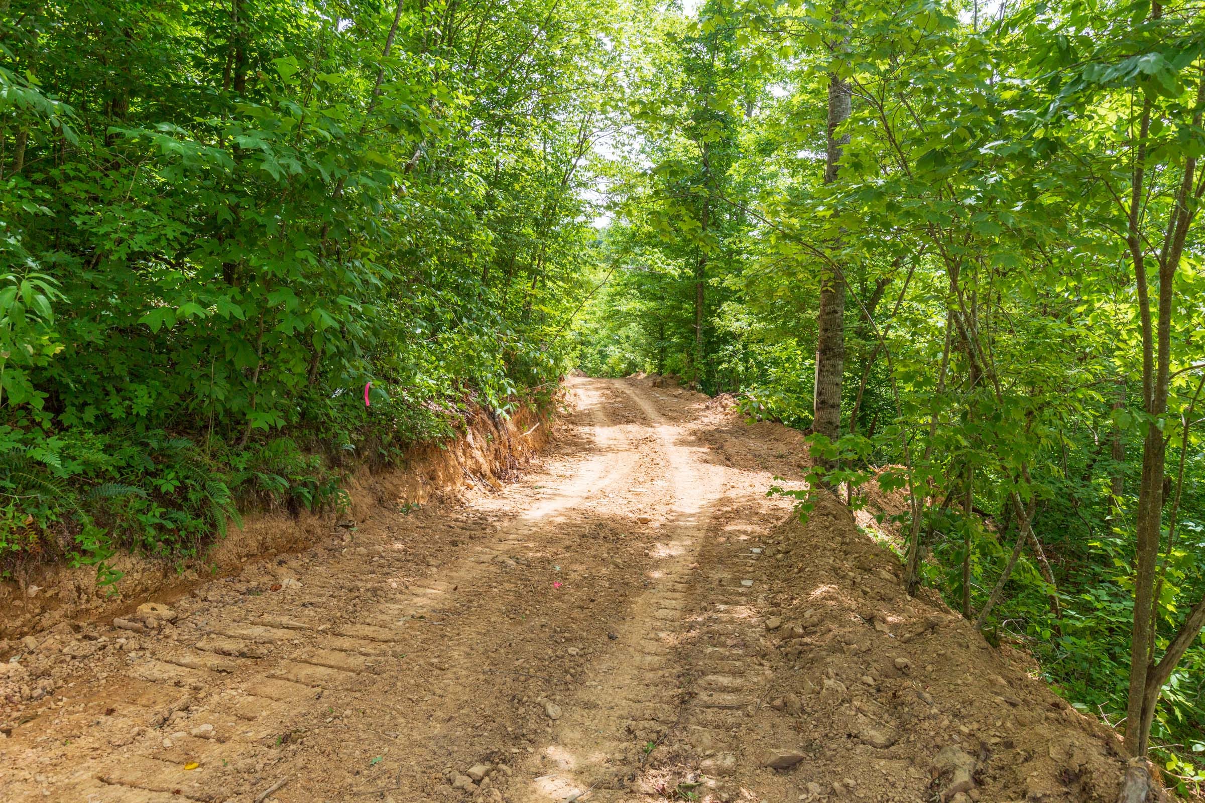River’s Edge Tract 11 photo 7