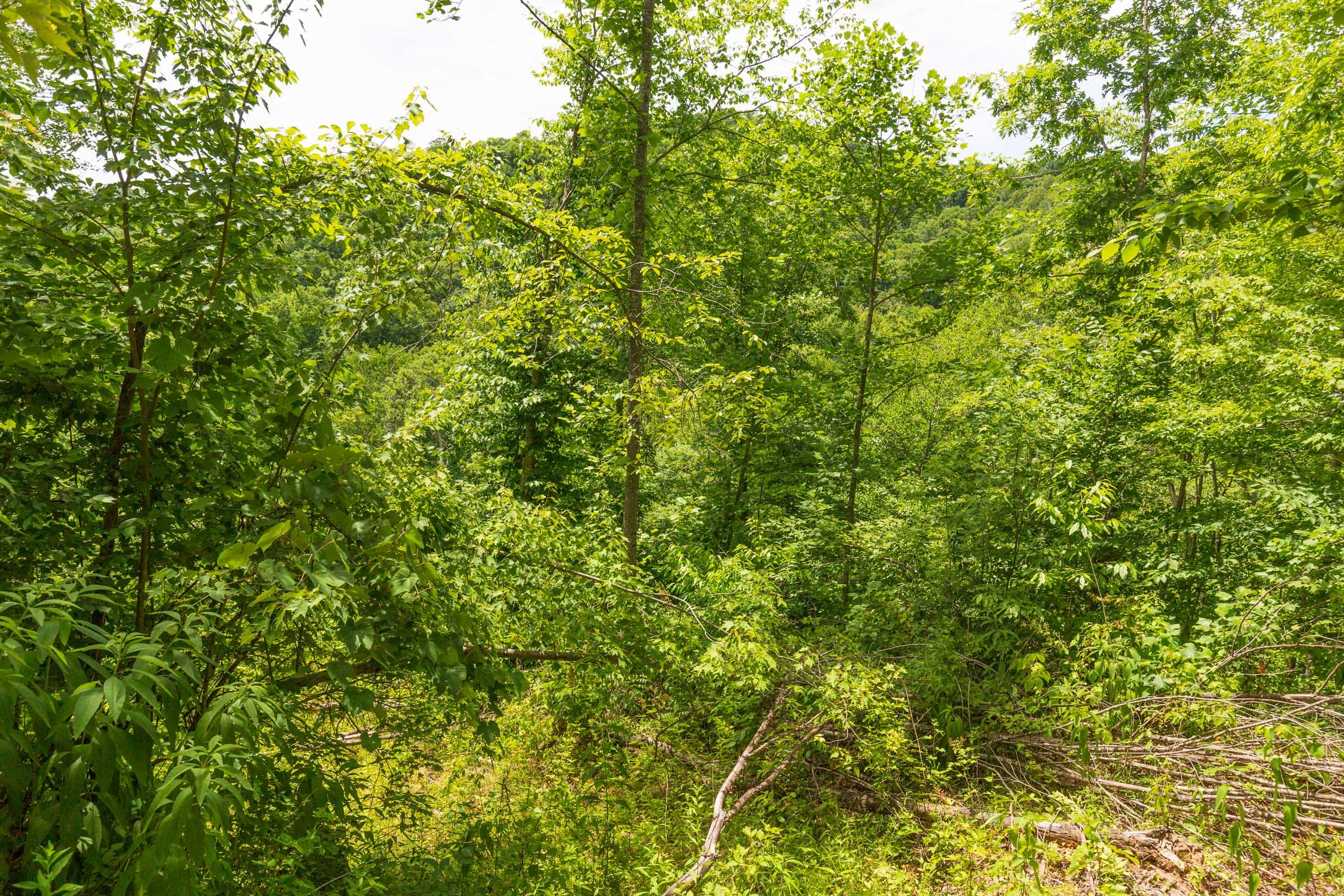 River’s Edge Tract 11 photo 12