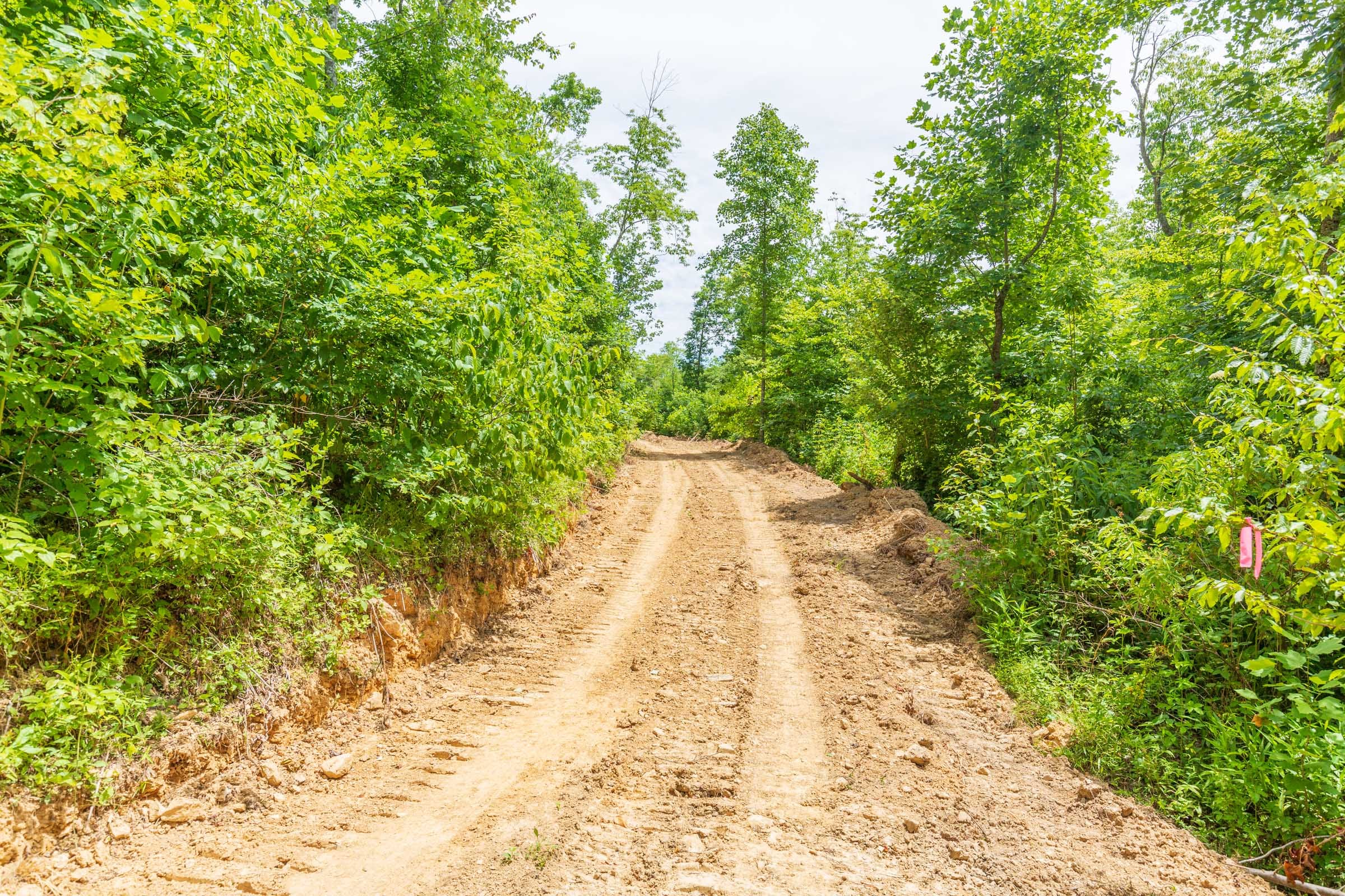River’s Edge Tract 11 photo 13