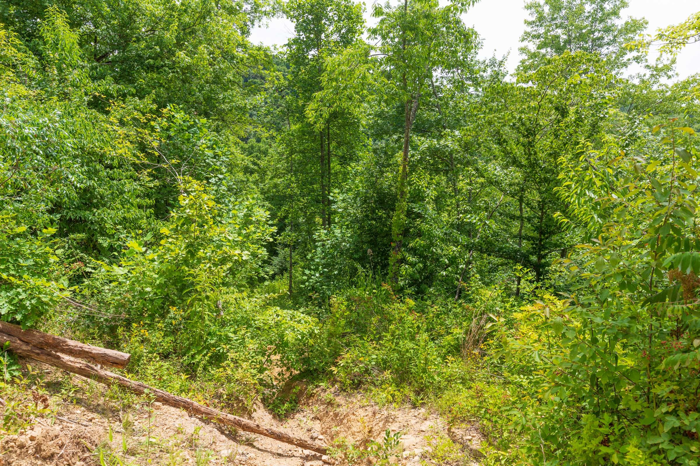 River’s Edge Tract 11 photo 14