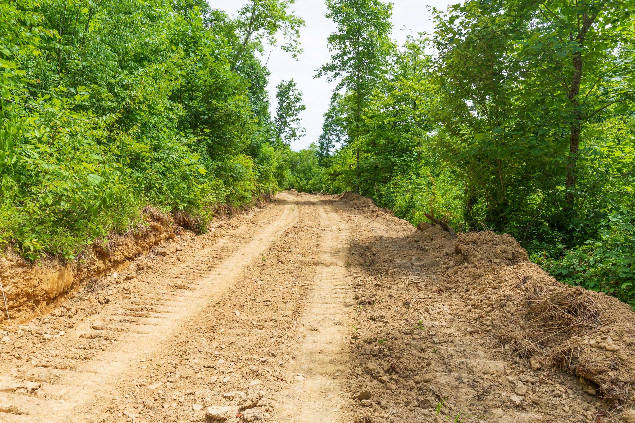 River’s Edge Tract 11 photo 5