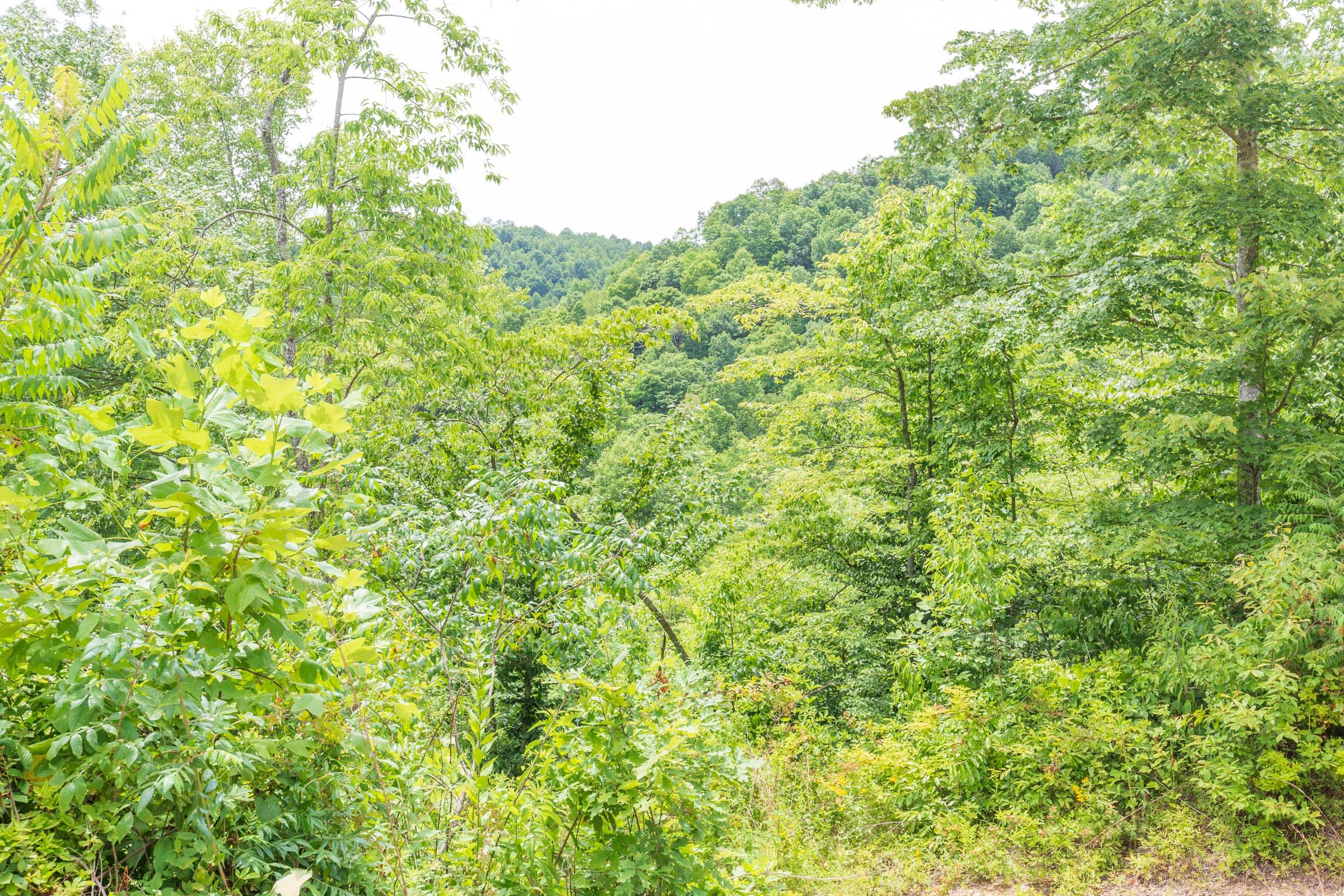 River’s Edge Tract 11 photo 16
