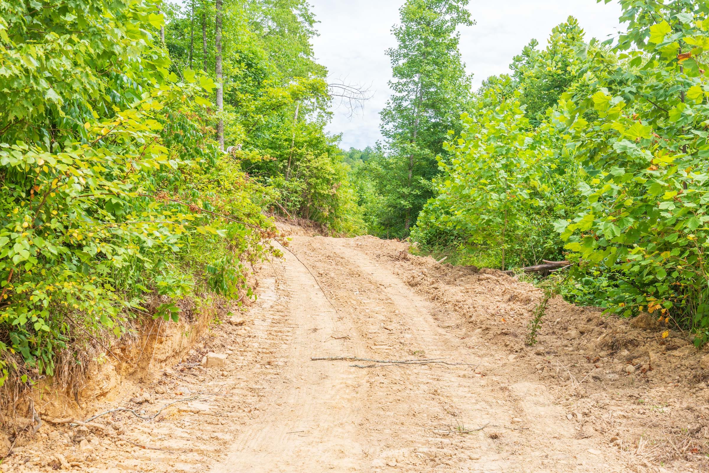 River’s Edge Tract 11 photo 9