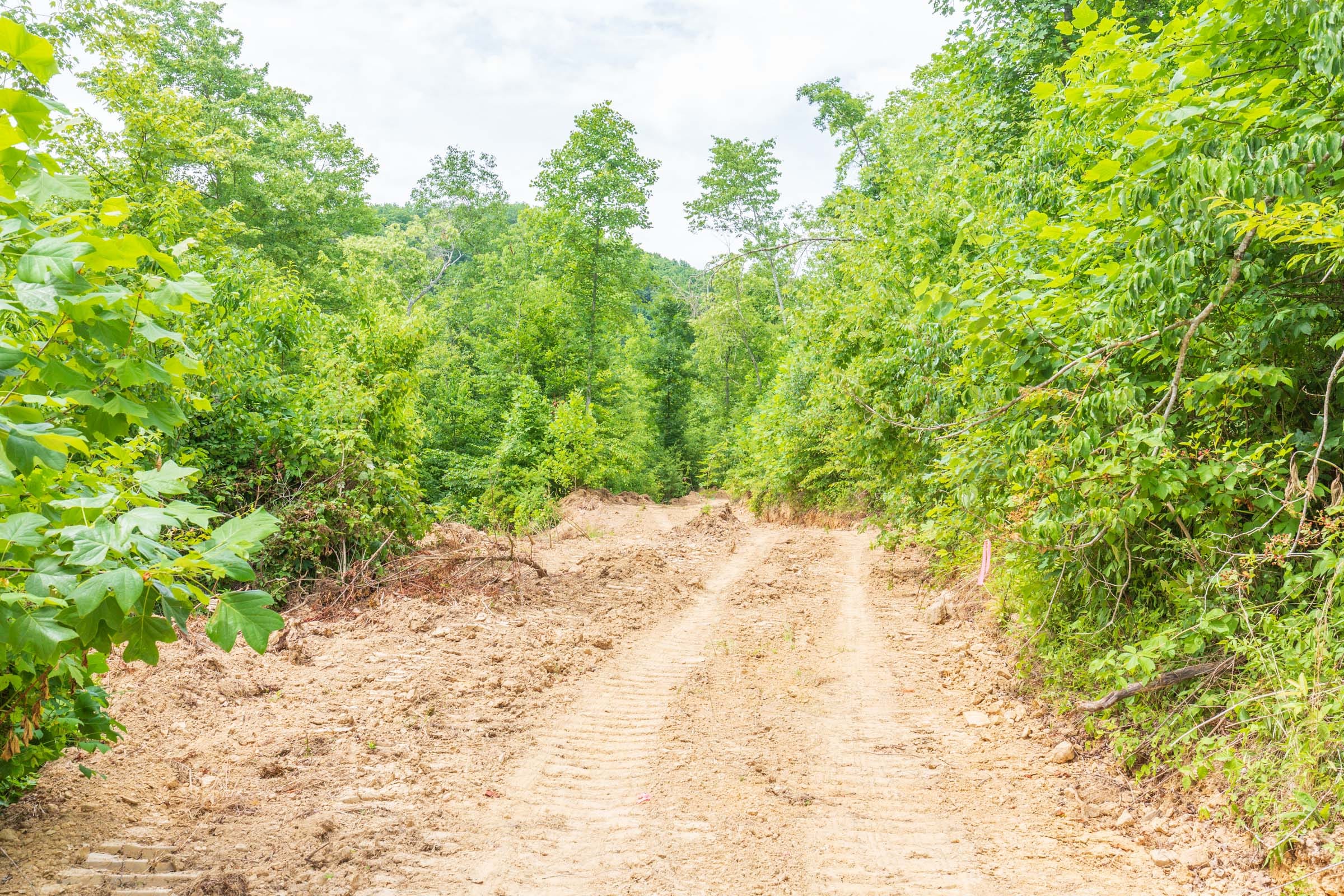 River’s Edge Tract 11 photo 3
