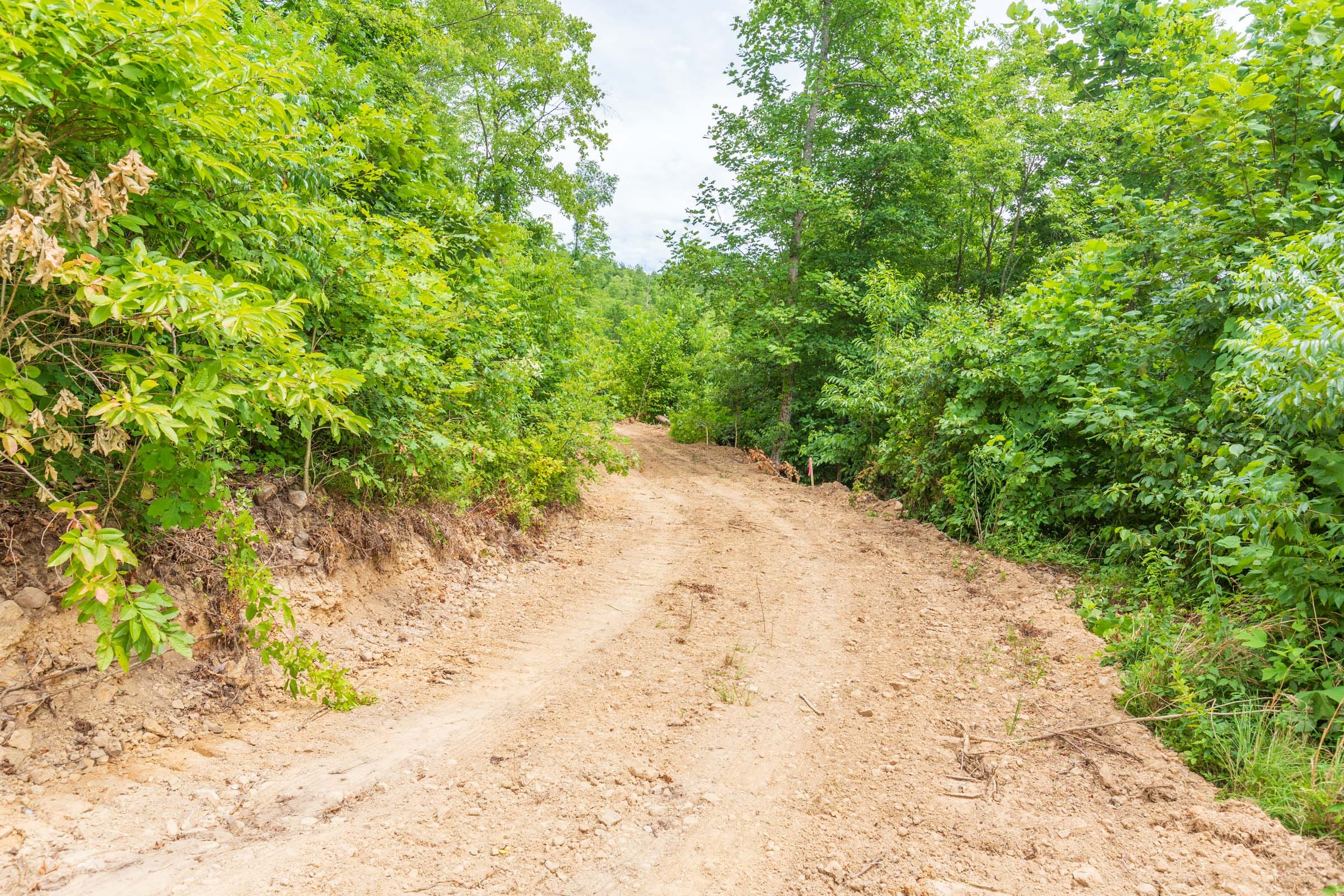 River’s Edge Tract 11 photo 17