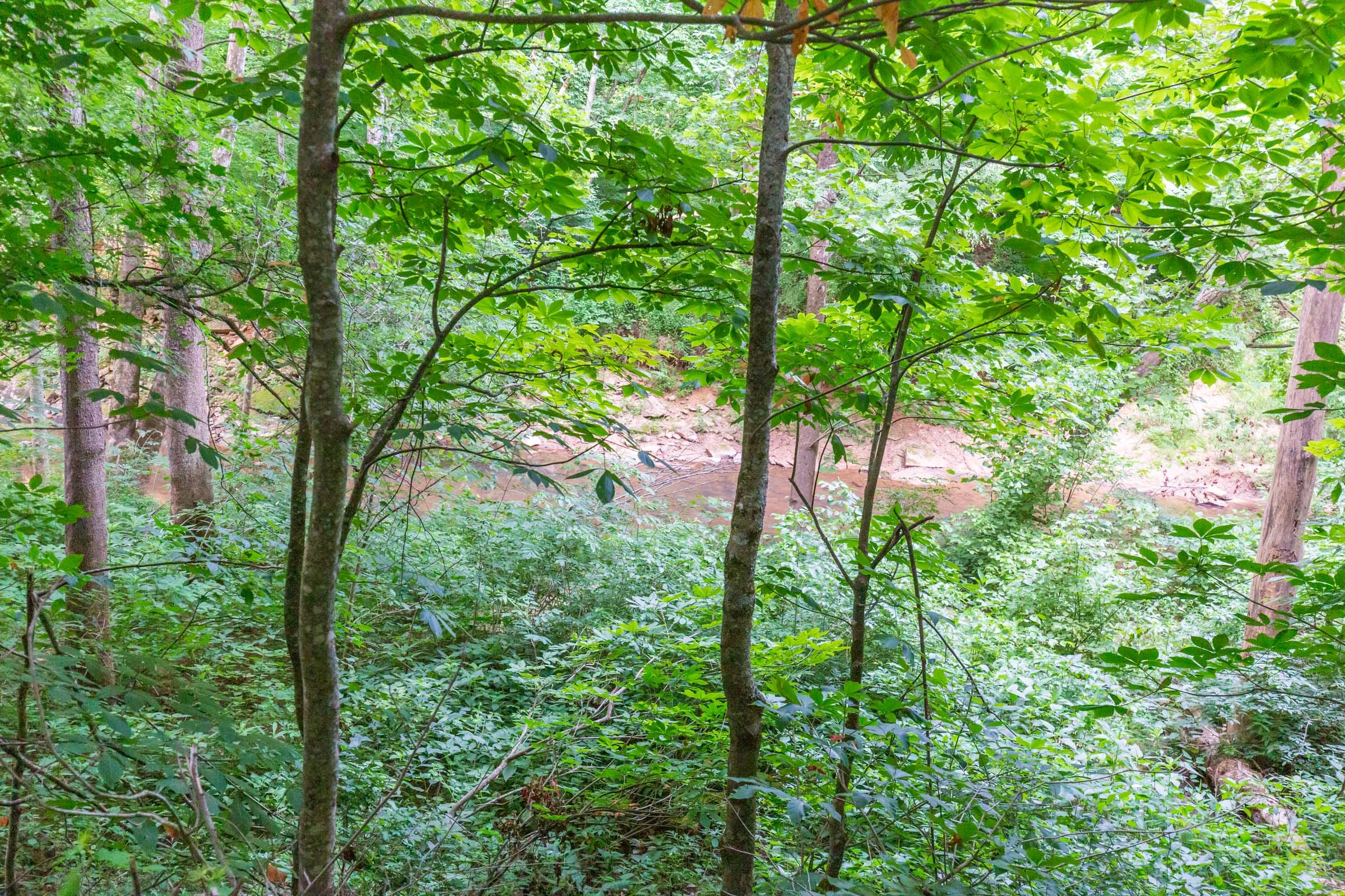 River’s Edge Tract 11 photo 4