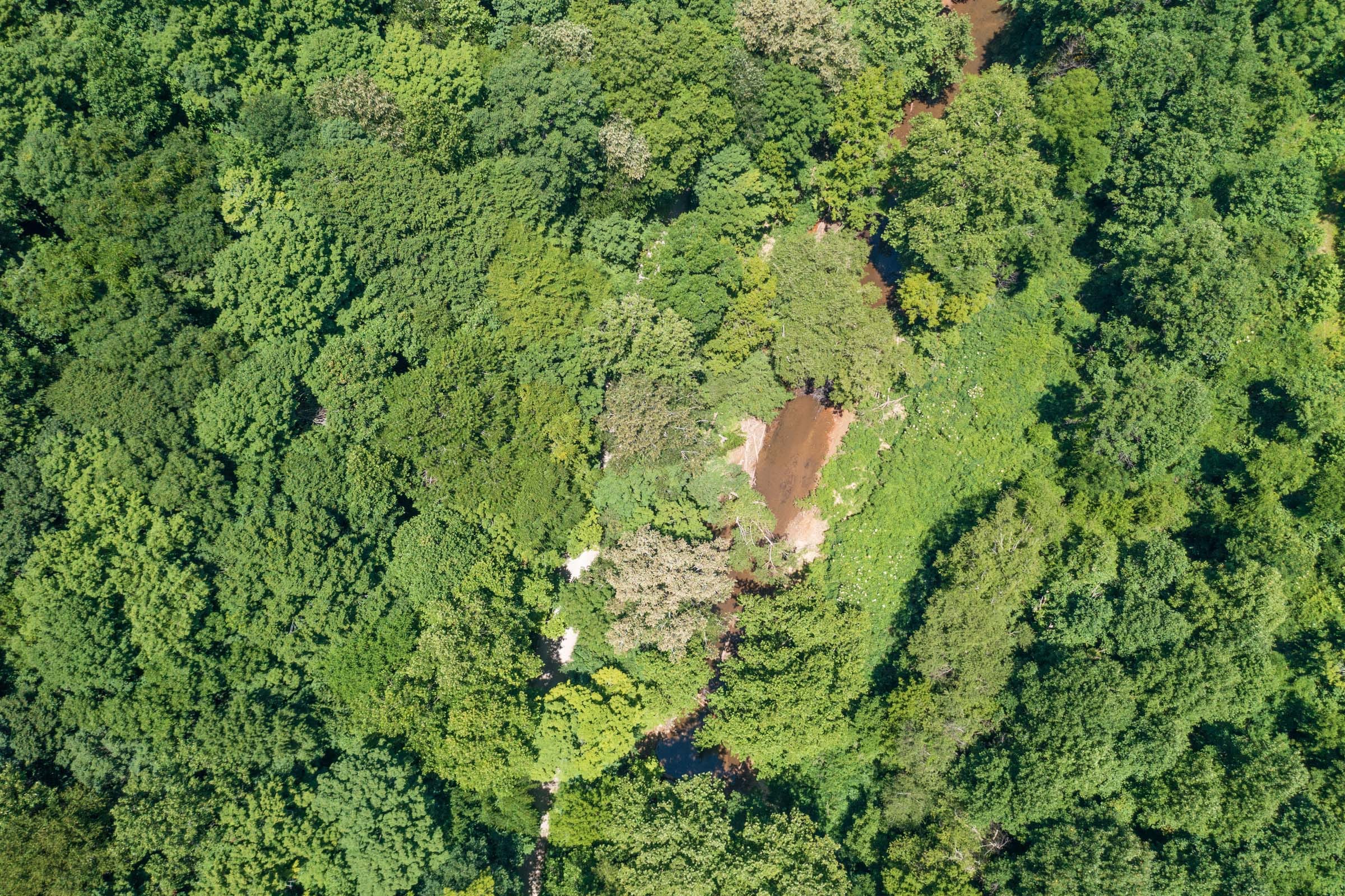River’s Edge Tract 11 photo 2
