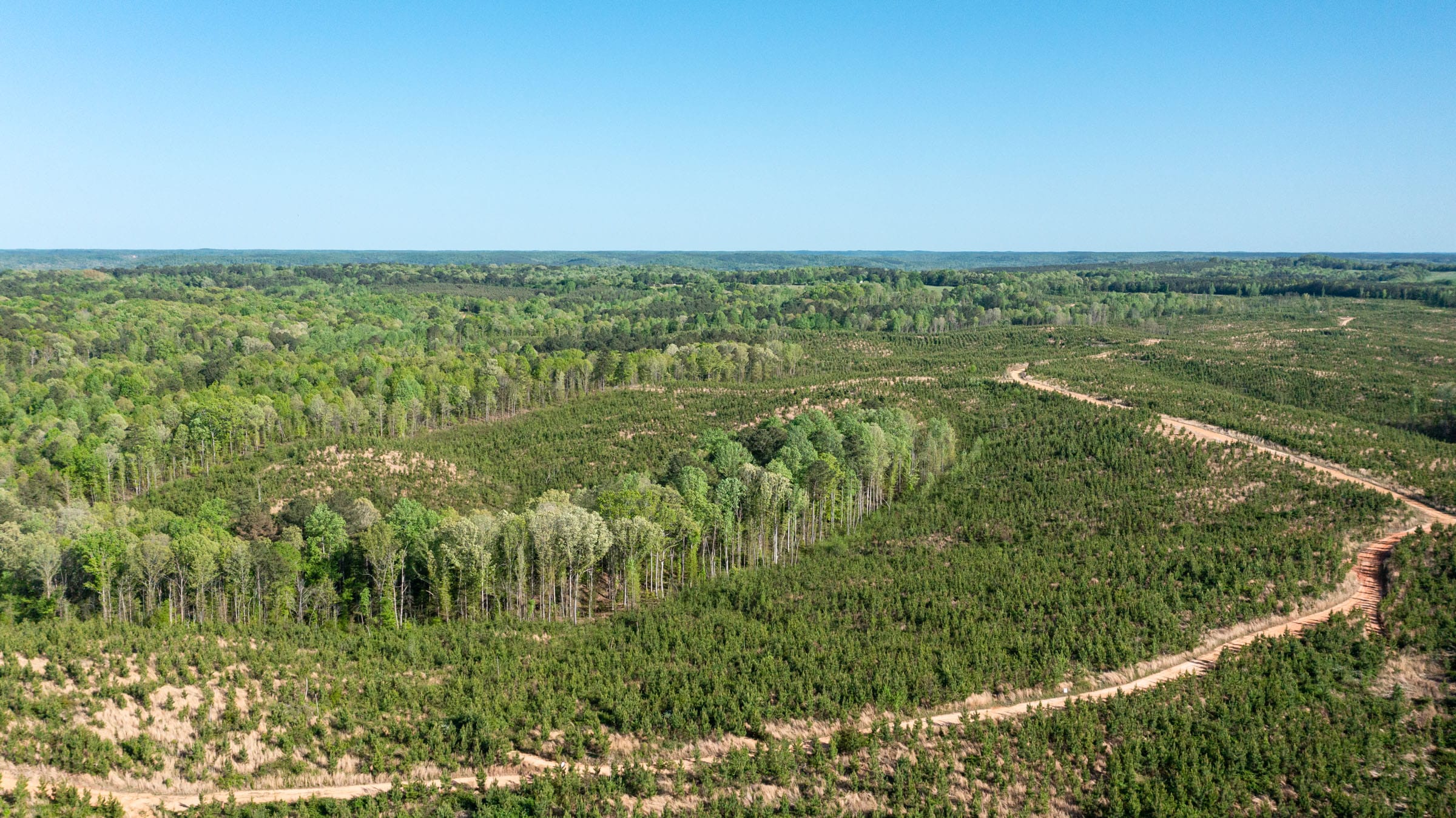 Clear Wood Tract 30 photo 4