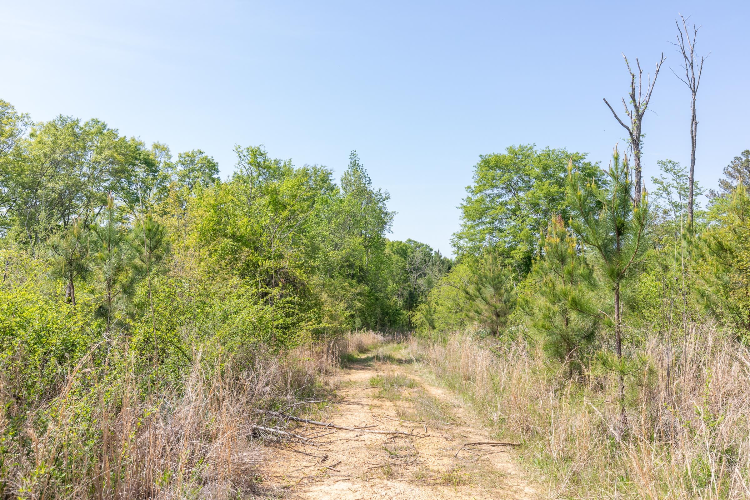 Clear Wood Tract 30 photo 14