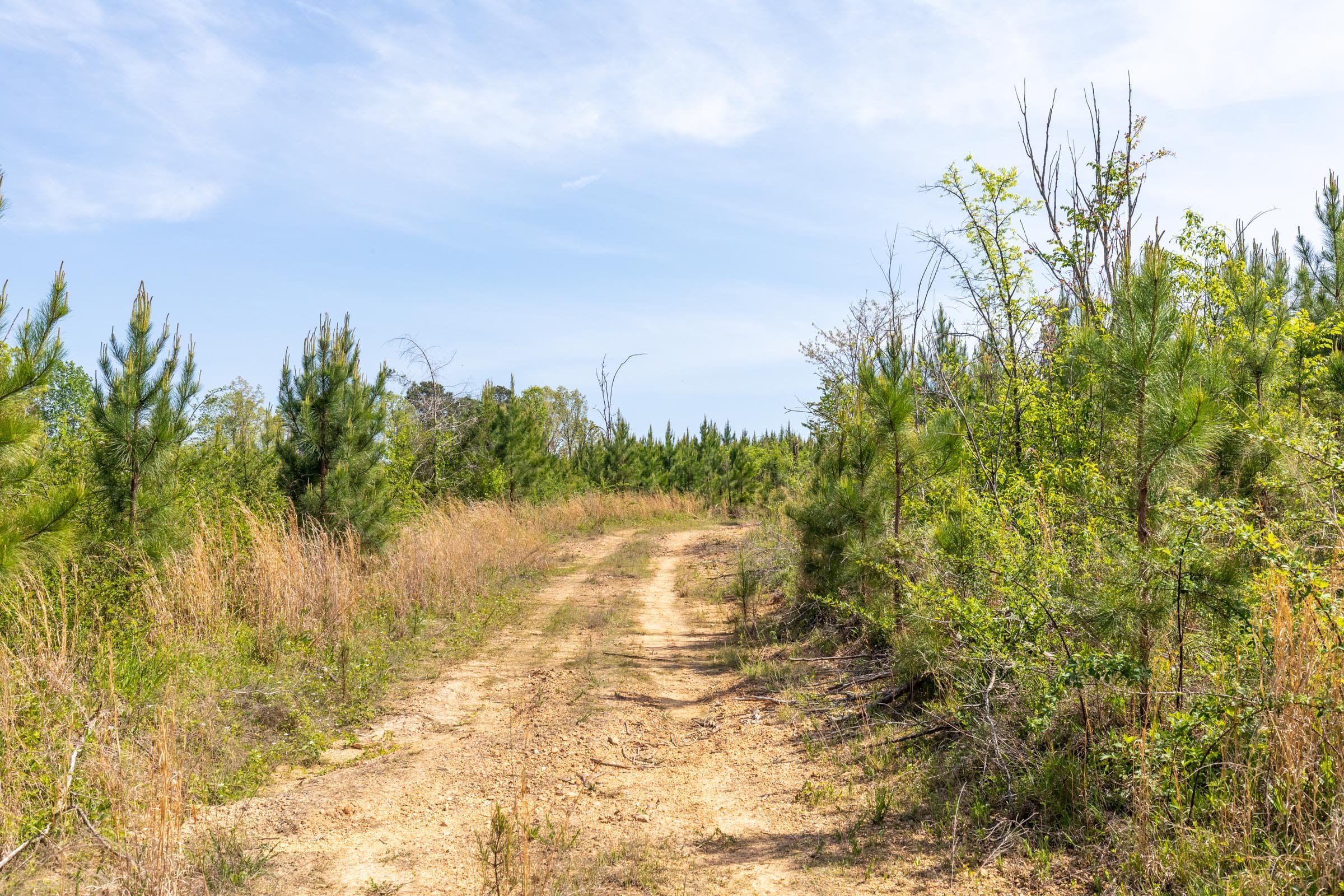 Clear Wood Tract 30 photo 5