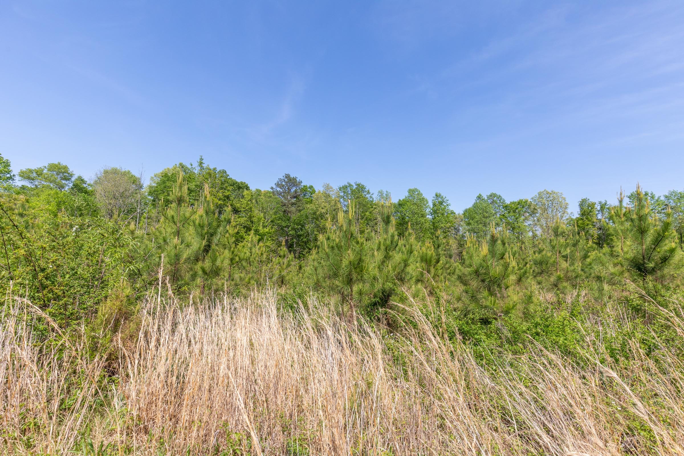 Clear Wood Tract 30 photo 16