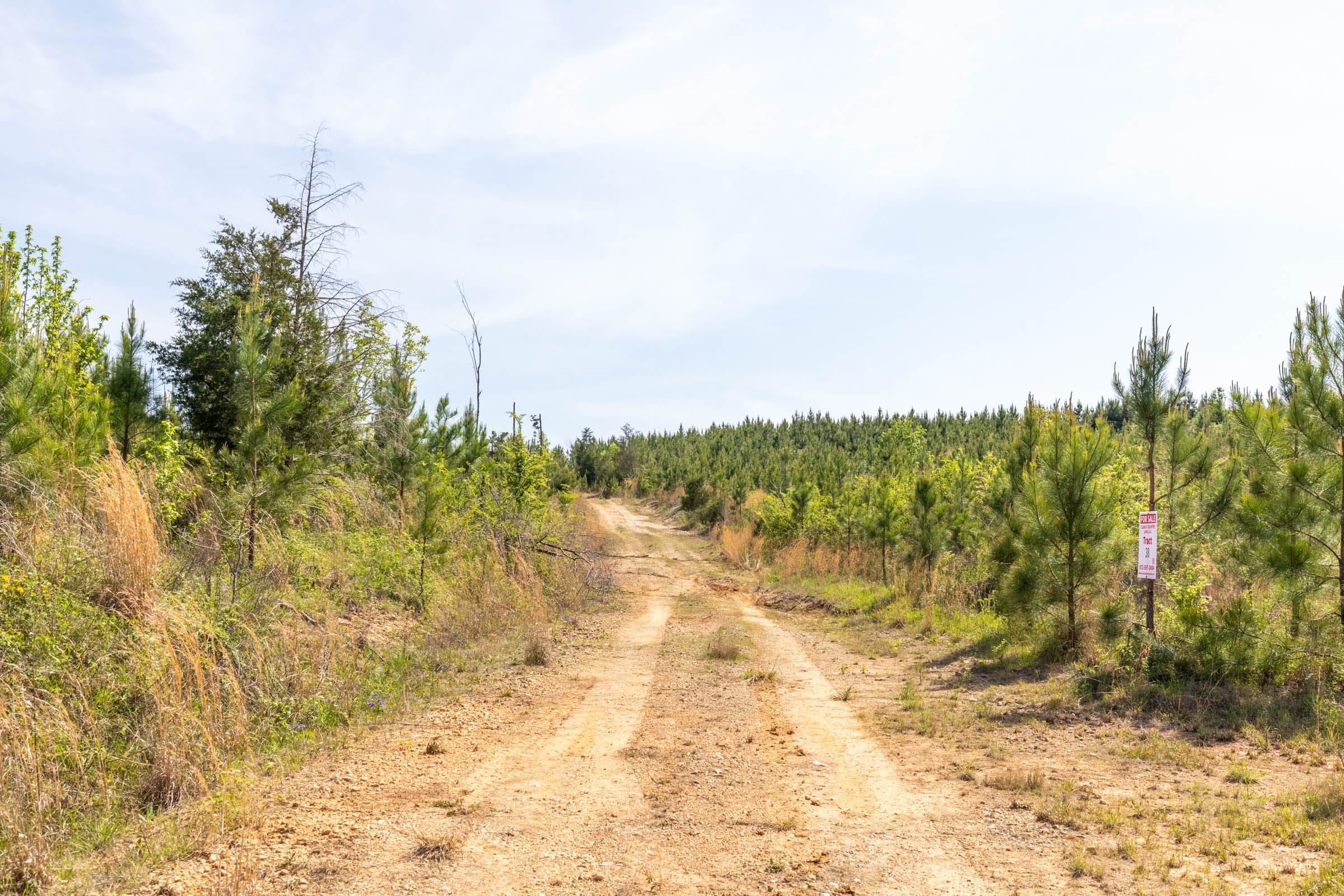 Clear Wood Tract 30 photo 15