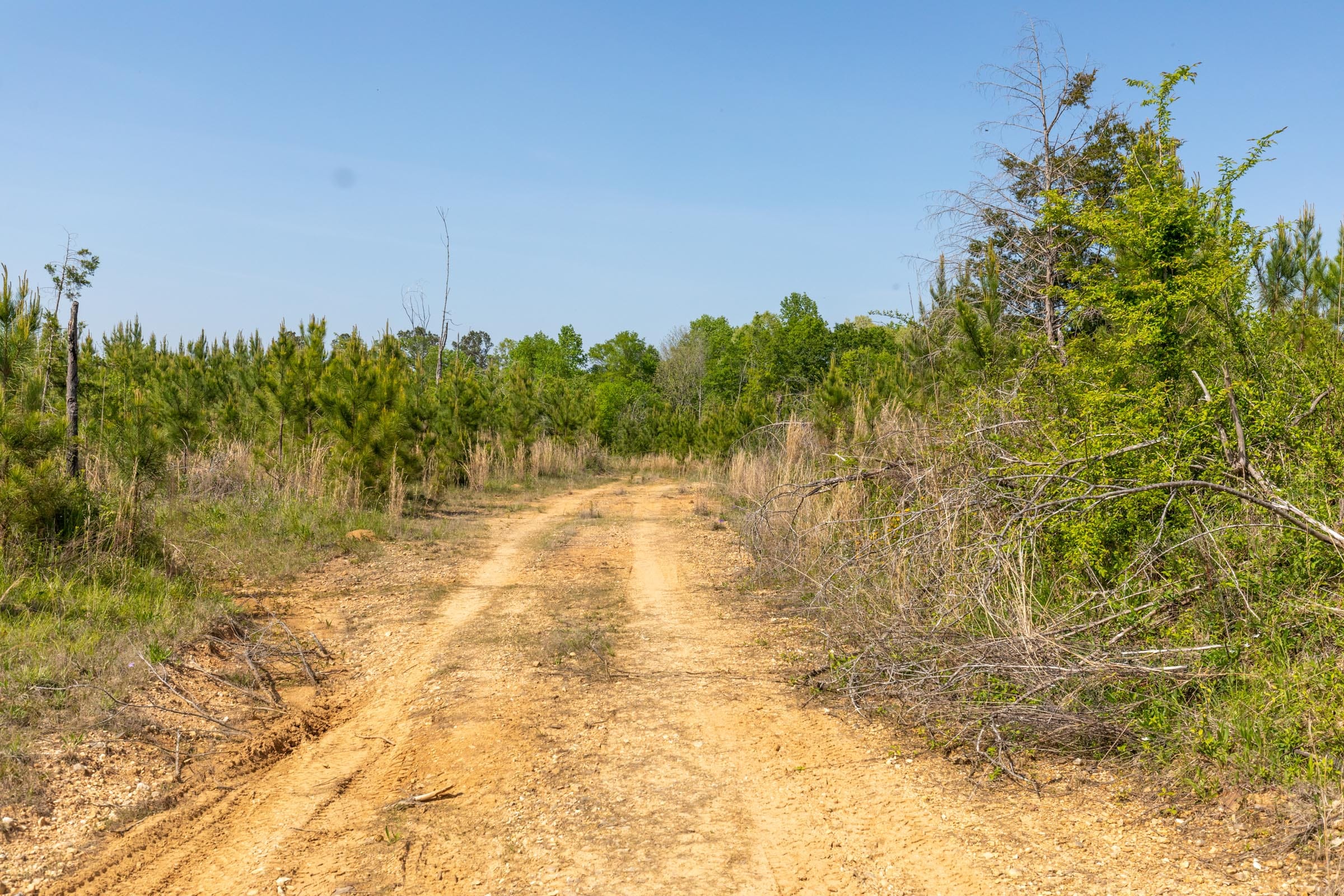 Clear Wood Tract 30 photo 20