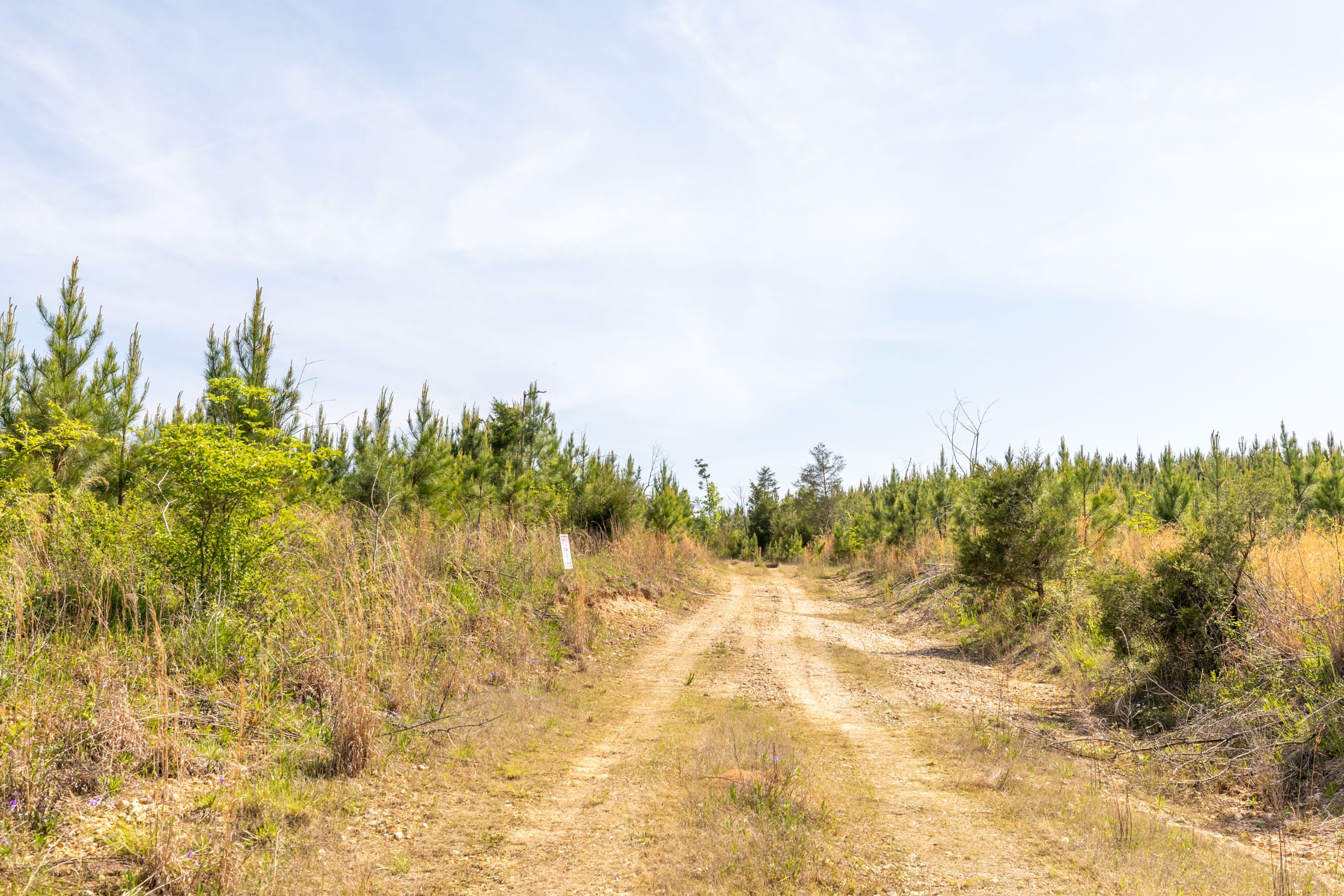 Clear Wood Tract 30 photo 1