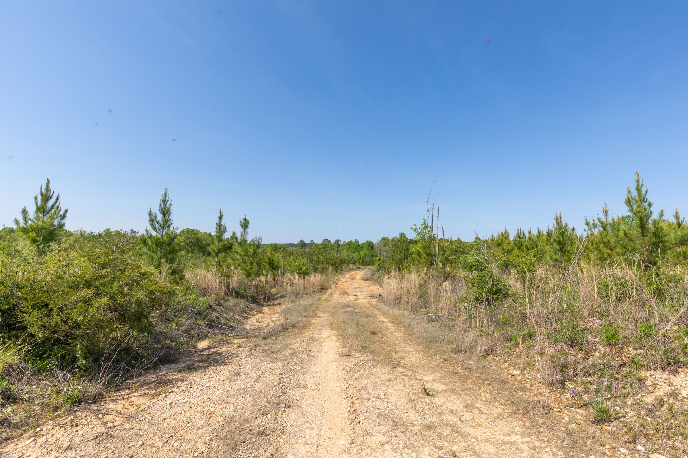 Clear Wood Tract 30 photo 25