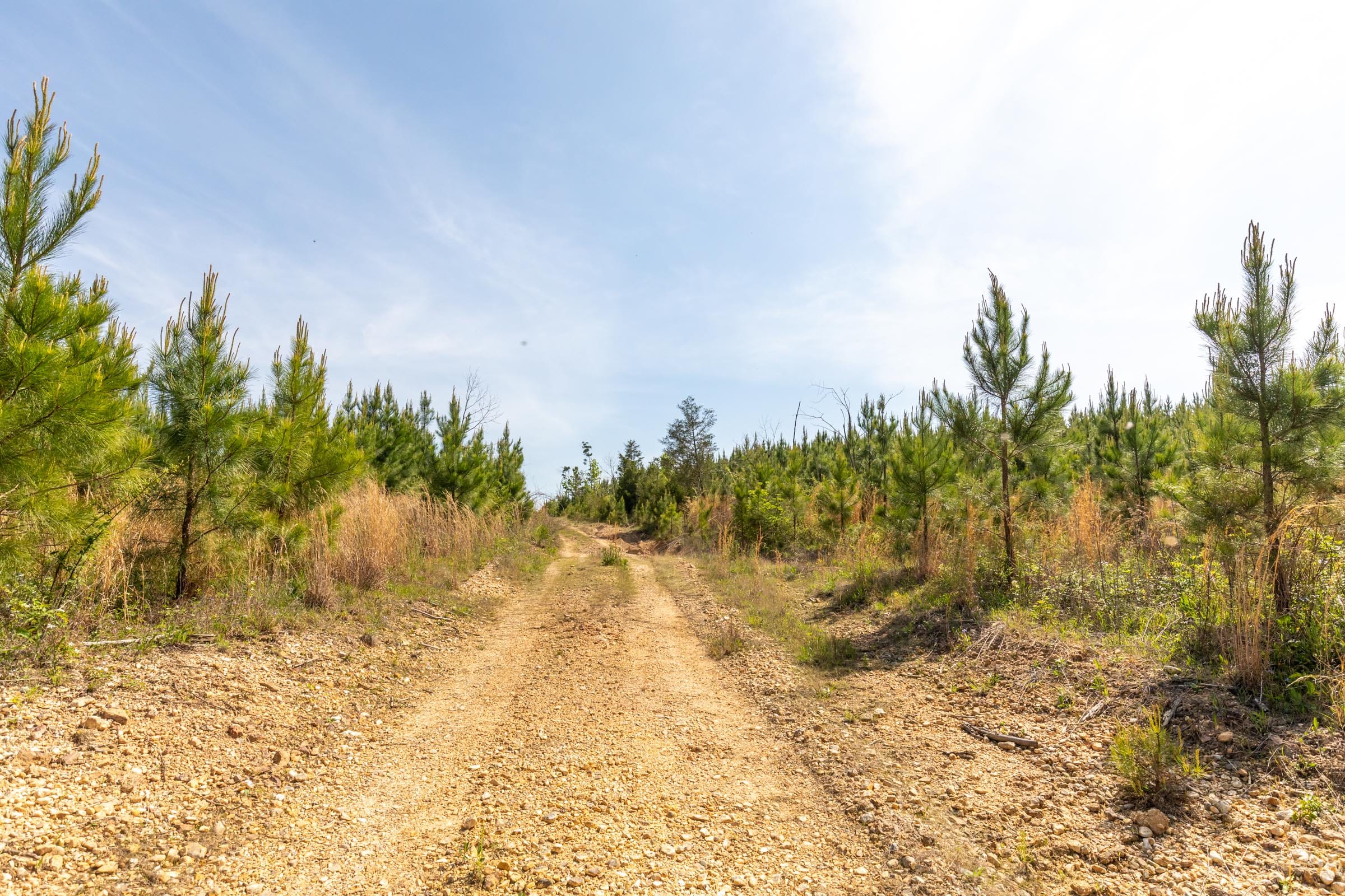 Clear Wood Tract 30 photo 10
